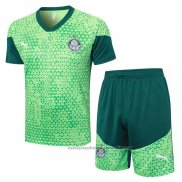 Chandal del Palmeiras Manga Corta 24/25 Verde - Pantalon Corto