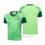 Camiseta de Entrenamiento Palmeiras 24/25 Verde