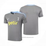 Camiseta de Entrenamiento Tottenham Hotspur 24/25 Gris